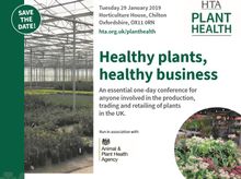 HTA healthy plants