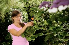 Fiskars PowerGear pruners with 3x cutting power