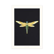 ZELLANDINE'S DRAGONFLY PRINT