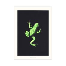 TIANA'S FROG PRINT