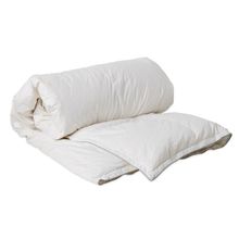 Soak&Sleep Special Buy Goose Feather and Down Duvet - All Seasons - Double