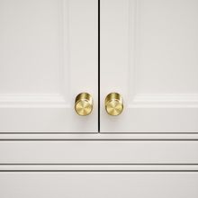 dali-fluted-brushed-gold-furniture-knobs