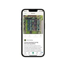 Planting plans for your veg plot made easy with the Fryd app