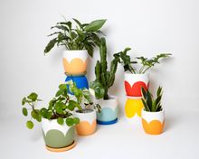 Pow Pots colourful Scallops designs from www.powpots.co.uk