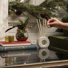 ScentAir Infused Reeds