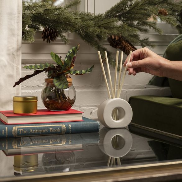 ScentAir Infused Reeds