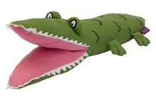The Enormous Crocodile