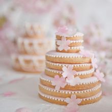 Pretty Pâtisserie by Makiko Searle_stacked biscuits