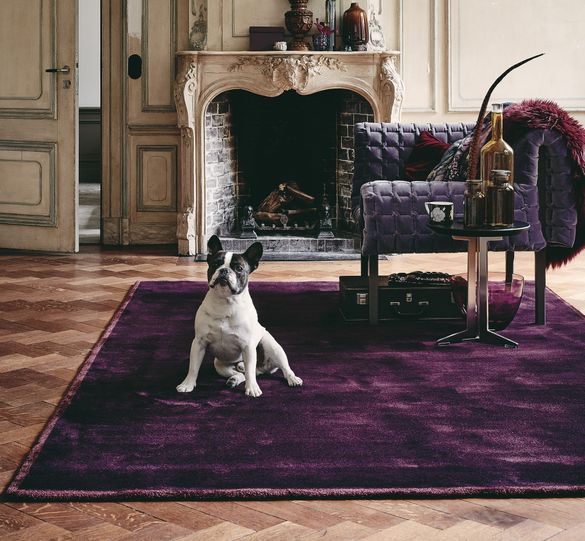 Ted Baker Luxe Rug From Modern Rugs