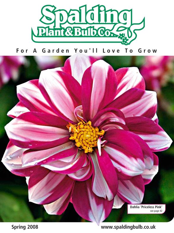 Spring 2008 Catalogue