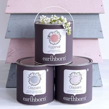 Earthborn Paints