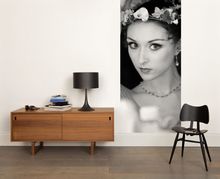 Royal Ballet Dressing Room II accent mural from the Royal Opera House Collection