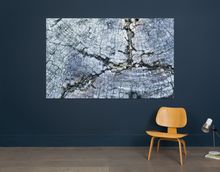 Weathered Wood II mounted print from the Nic Miller Photography Collection