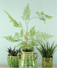 Botanical Ceramic range