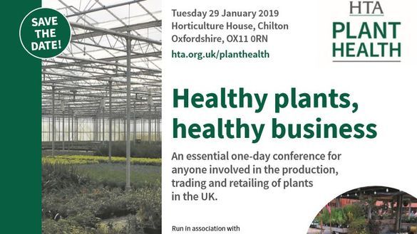 HTA healthy plants